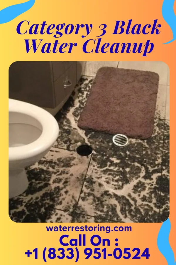Category 3 Black Water Cleanup in Altamonte Springs, FL