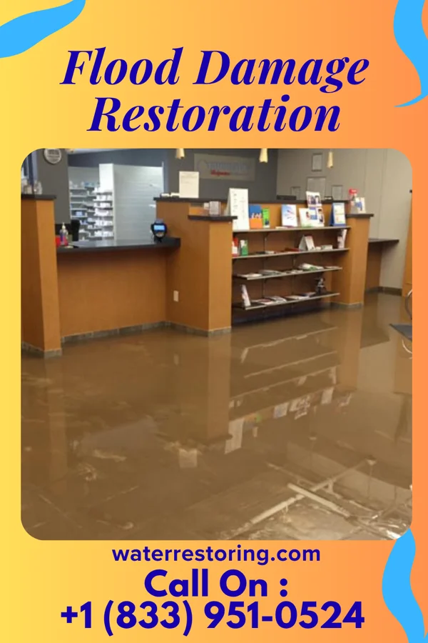 Flood Damage Restoration in Altamonte Springs, FL