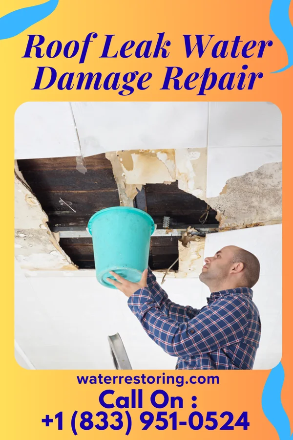 Roof Leak Water Damage Repair in Altamonte Springs, FL