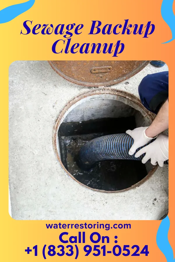 Sewage Backup Cleanup in Altamonte Springs, FL