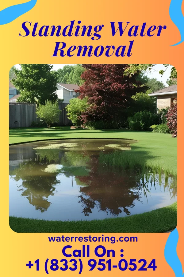 Standing Water Removal in Altamonte Springs, FL